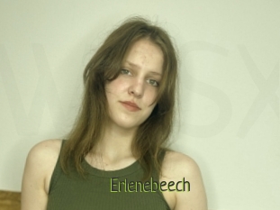 Erlenebeech