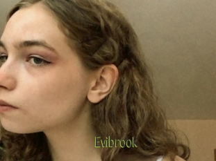 Evibrook