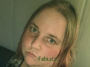 Falbkatze