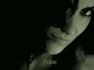 Feline