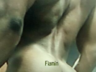 Flamin