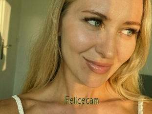 Felicecam