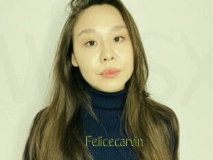 Felicecarvin