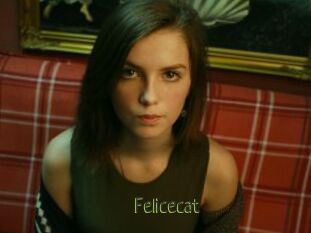 Felicecat