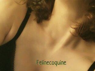 Felinecoquine