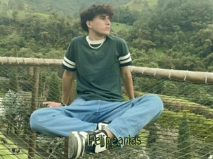 Felipearias