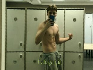 Fellixgarcia