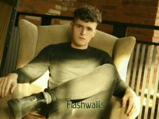Flashwallis