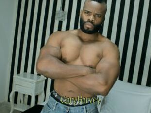 GaryHarvey