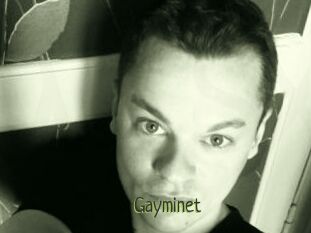 Gayminet