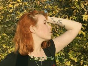 GingerLittleKitty