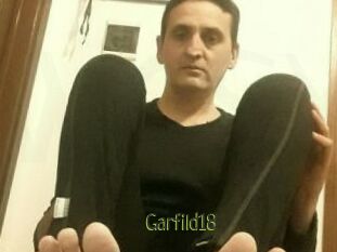 Garfild18