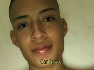 Garfiosex