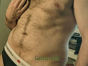 Gattorcatnb