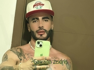 Gawainn_zeldris