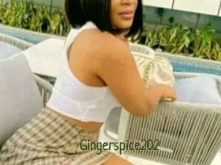 Gingerspice202