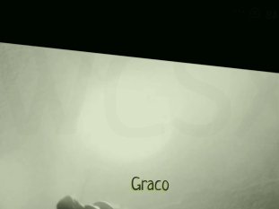 Graco