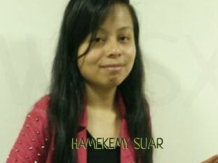 HAMEKEMY_SUAR