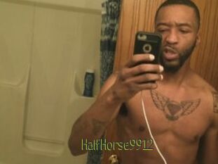 HalfHorse9912