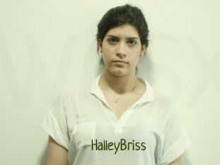 HalleyBriss
