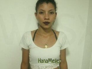 HanaMeller