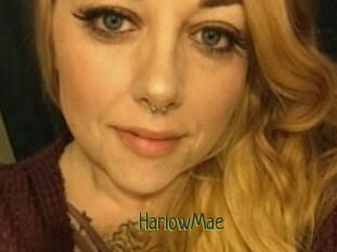 Harlow_Mae