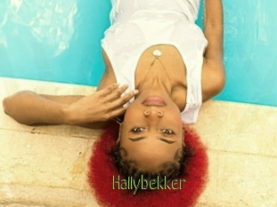 Hallybekker