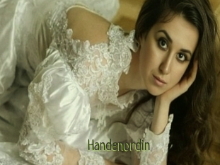 Handenordin