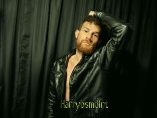Harrybsmdirt