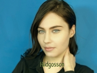 Hildgosson