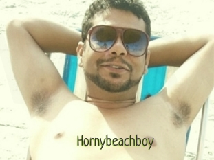 Hornybeachboy