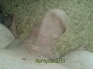 Hornydan1733