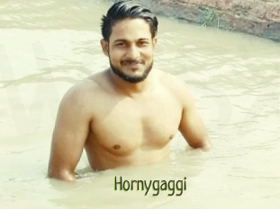 Hornygaggi