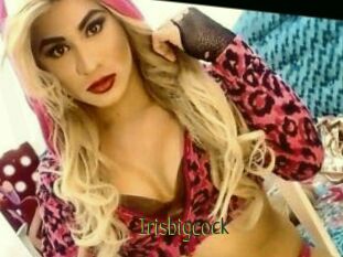 Irisbigcock