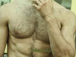 Indiansnake