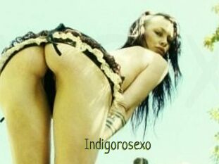 Indigorosexo