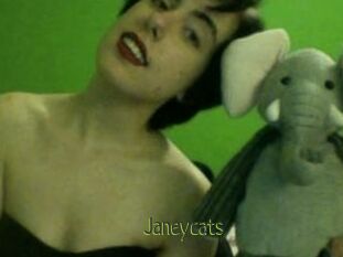 Janeycats