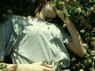 JekaFlow