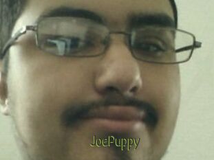 JoePuppy