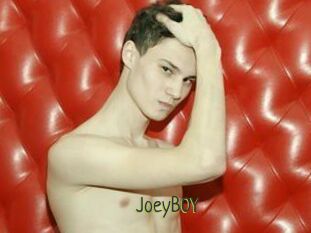 JoeyB0Y