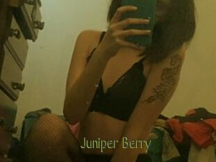 Juniper_Berry