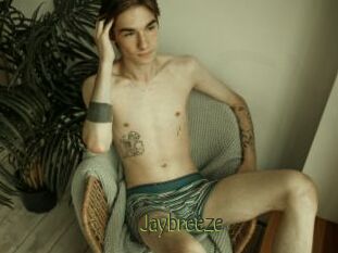 Jaybreeze