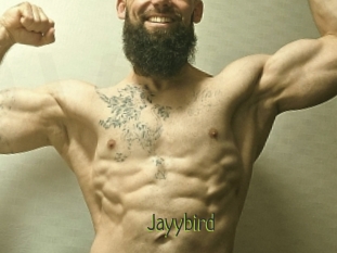 Jayybird
