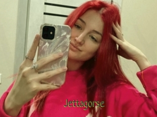 Jettagorse
