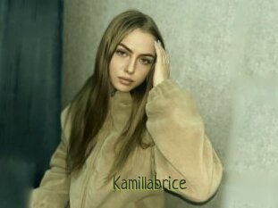 Kamillabrice