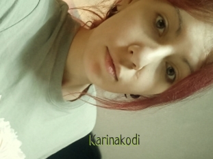 Karinakodi