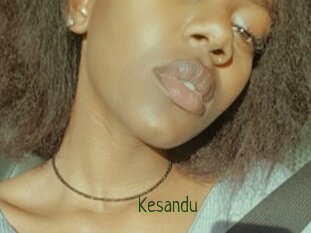 Kesandu
