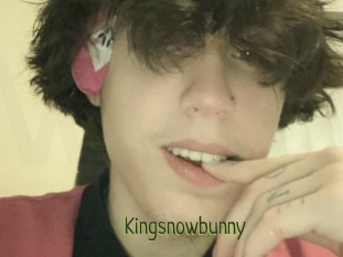 Kingsnowbunny