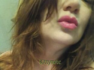 Kittymate