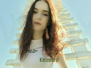 Kleinmird